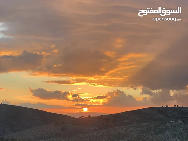 Ayat
