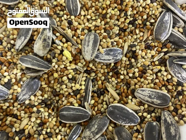 طعام للطيور خلطة جديدة