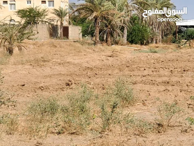 Farm Land for Rent in Al Hudaydah Other