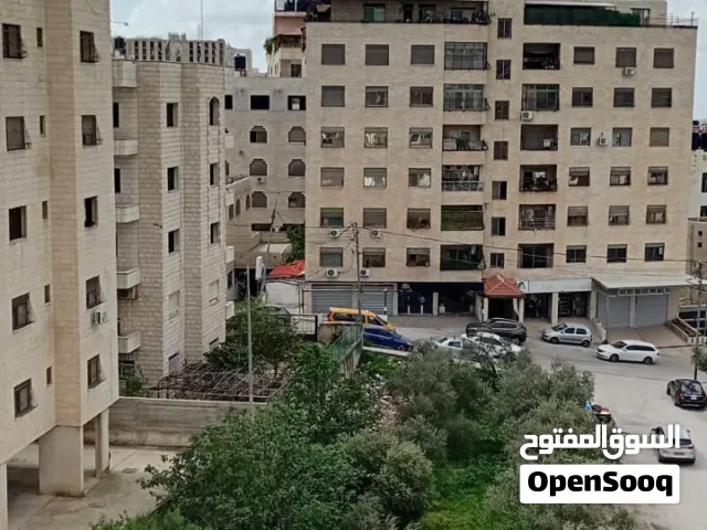 شقه عظم للبيع في منطقة رفيديا