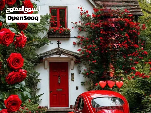 Furnished Weekly in Tripoli Tajura