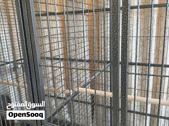 Cage for birds