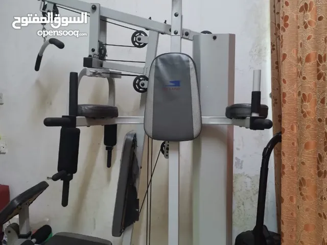 Skyland Home Gym Multi-Station Machine