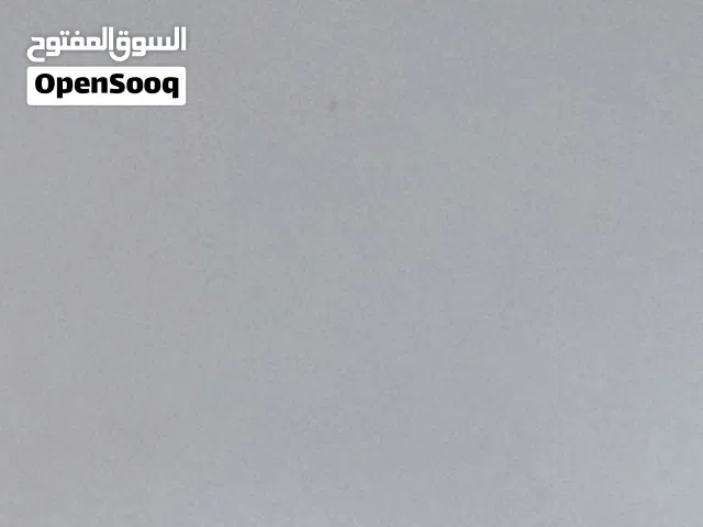 مطلوب طير صرد او حمامي