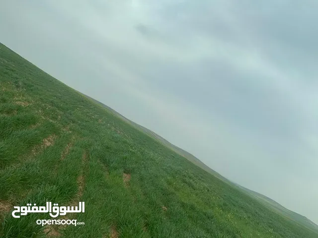 Farm Land for Sale in Mafraq Um Al-Lulu