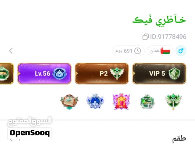 Accounts - Others Accounts and Characters for Sale in Al Sharqiya