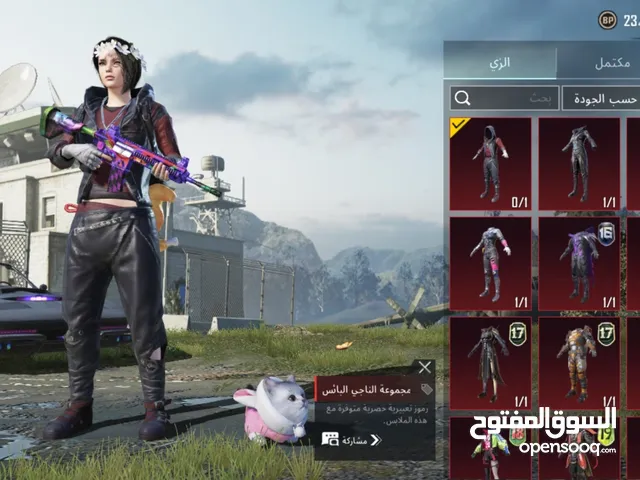 Pubg Accounts and Characters for Sale in Jazan