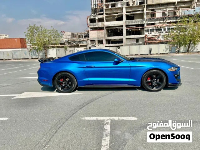 Mustang eco boost 2019