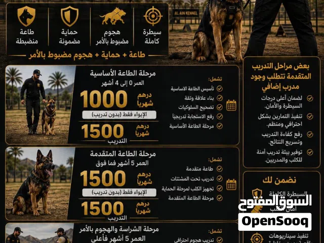 تدريب الكلاب al.ain.kennel