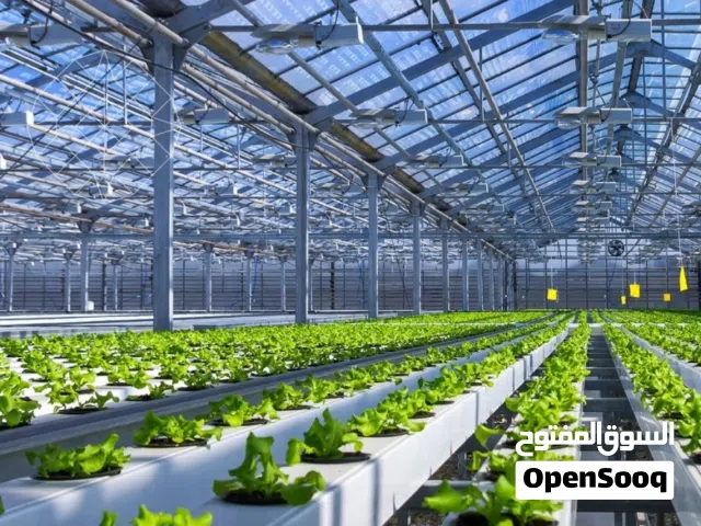 مشروع زراعي للاستثمار بدخل ممتاز العقد سنوي