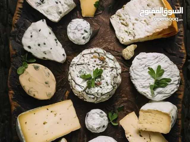 دورت الاجبان اولاين