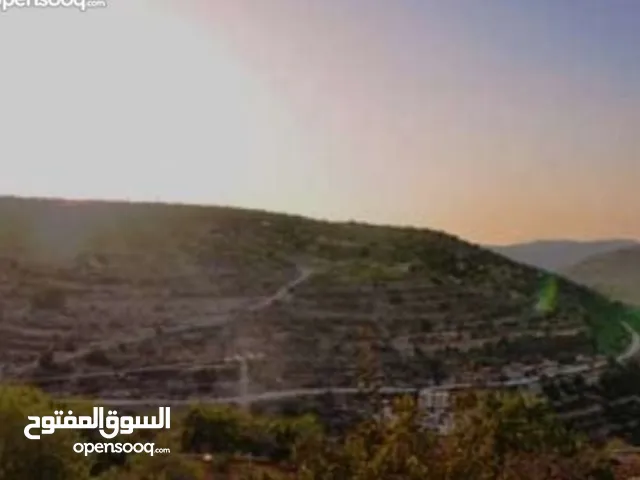 قطعة ارض حلوة للبيع