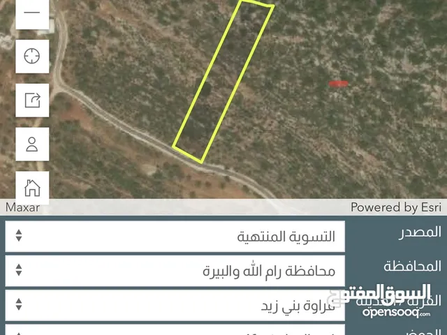 تملك قطعة ارض 5 دونم في اعلى جبال بني زيد طابو فلسطيني A والتنازل مباشرة