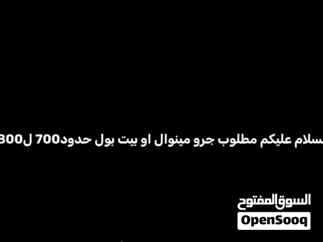 مطلوب جرو مينوال او بيت بول حدود700ل800 مكان صرمان
