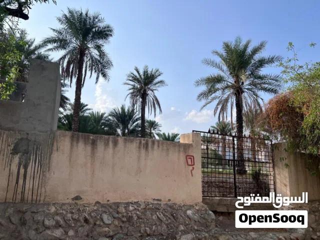 Farm Land for Sale in Al Batinah Rustaq
