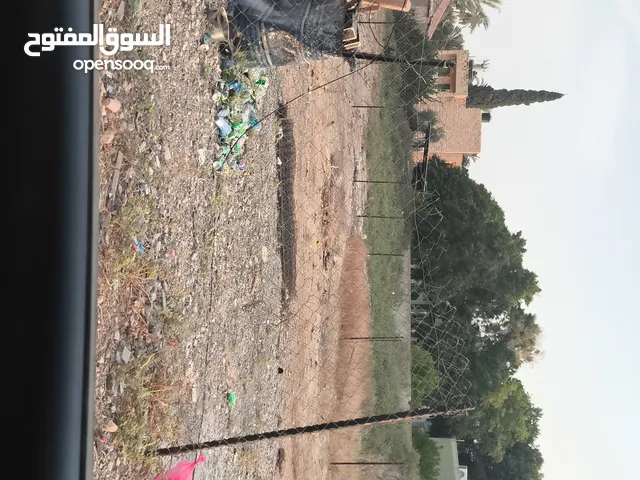 ارض للبيع في مدينة أريحا وسط البلد