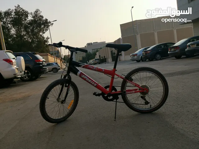 Sportex bike