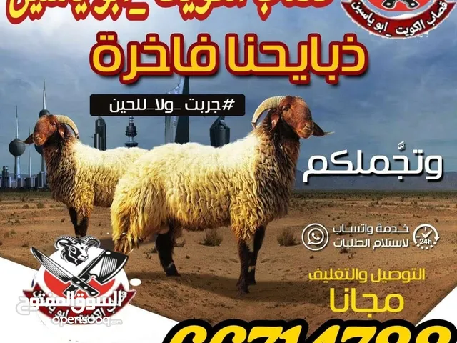 قصاب تحت الطلب