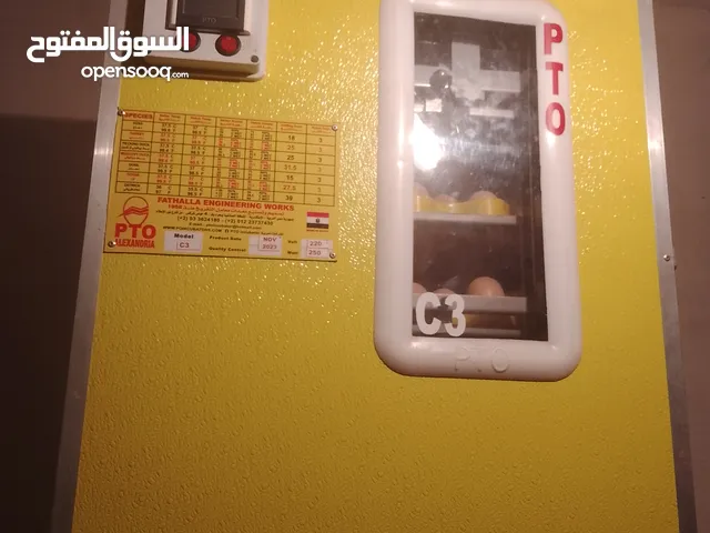 كتكوت زهري