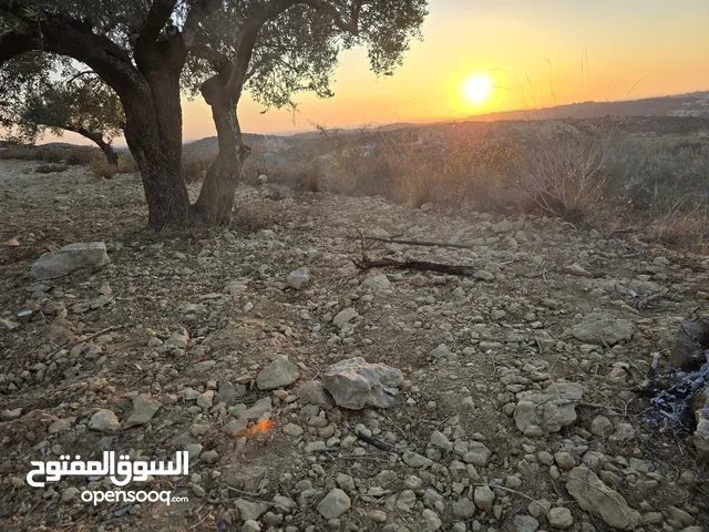 ارض لقطه لبناء فيله اطلاله غربيه