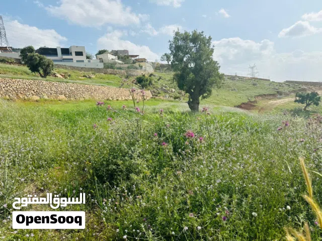 ارض للبيع جرش جبه الدقمسه المصطبه مطله عل سد الملك طلال مستصلحه اطلاله بانوراما