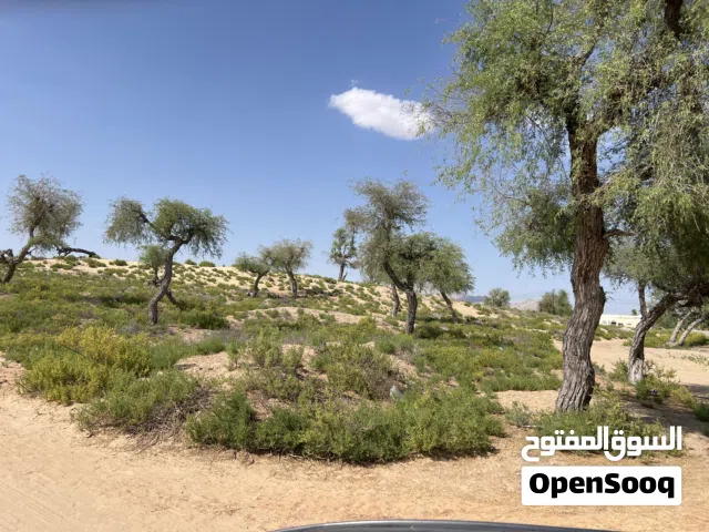 للبيع ارض سكنية في المريبي