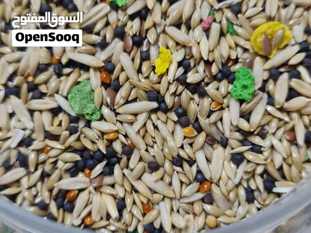 طعام كناري مع فيتامين