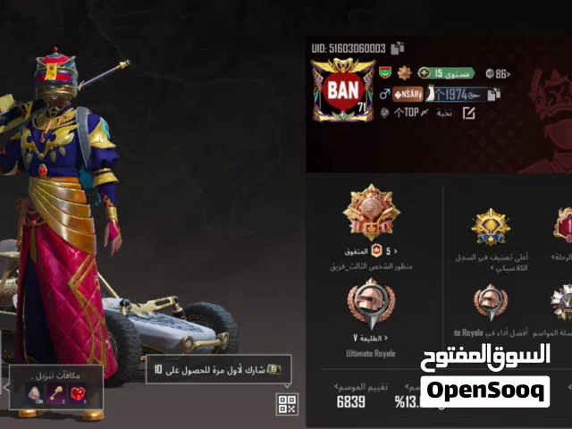 Pubg Accounts and Characters for Sale in Zouerate