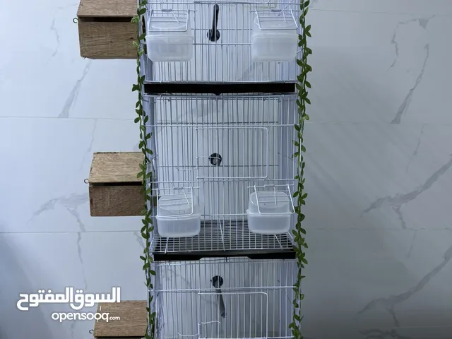 قفص ثلاثي لطيور الزينه