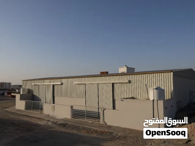 مخزن جديد في المسفاة مساحة الف متر مربع للايجار New warehouse For Rent in Almesfah