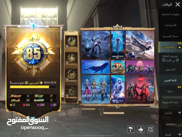 Pubg Accounts and Characters for Sale in Hawally