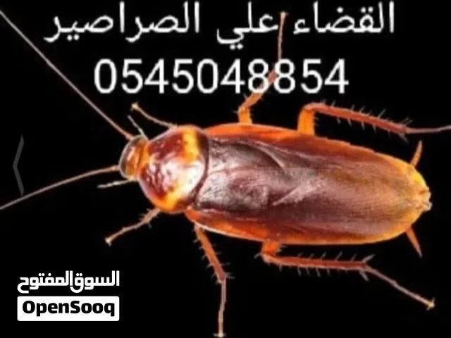 شركه مكافحه الحشرات وتسليك البواليع