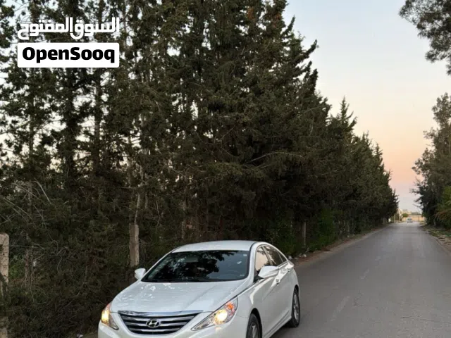 2014 Hyundai Sonata Eco