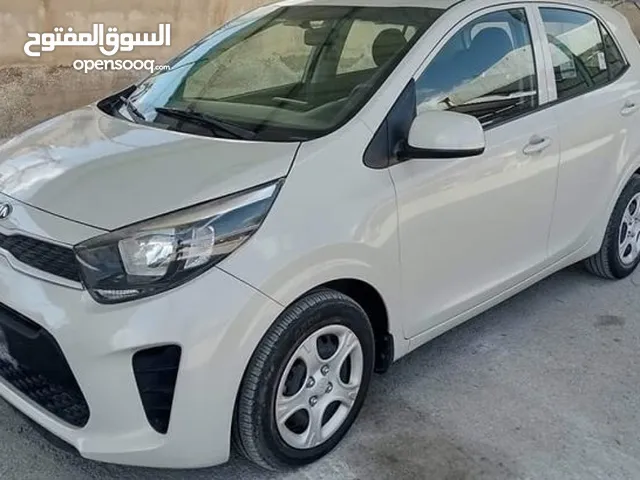 سيارة للايجار كيا بيكانتو بافضل سعر