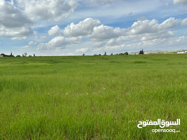 ارض 723 متر كوشان مستقل منطقه سهليه في أجمل مناطق جنوب عمان - طريق المطار وشارع مأدبا