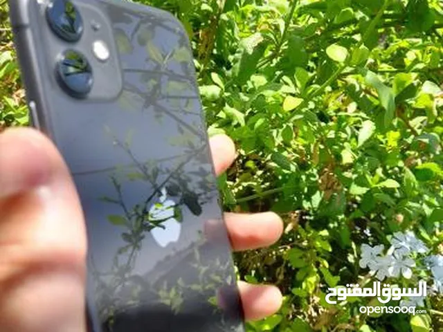 Apple iPhone 11 128 GB in Irbid