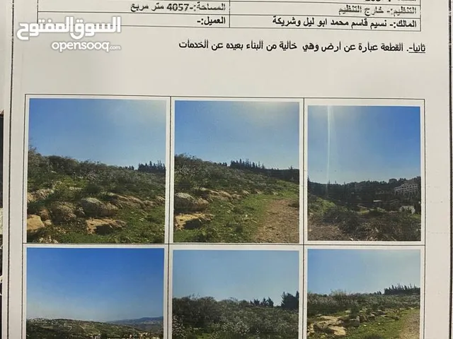 ارض 4 دنم الرمان محاذية لسور جامعة فيلادلفيا منطقة شاليهات ذات إطلالة رائعة تصلح لمشروع سياحي