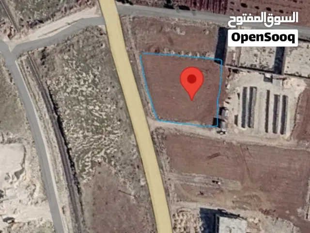 Farm Land for Sale in Aleppo Jabal Samaan