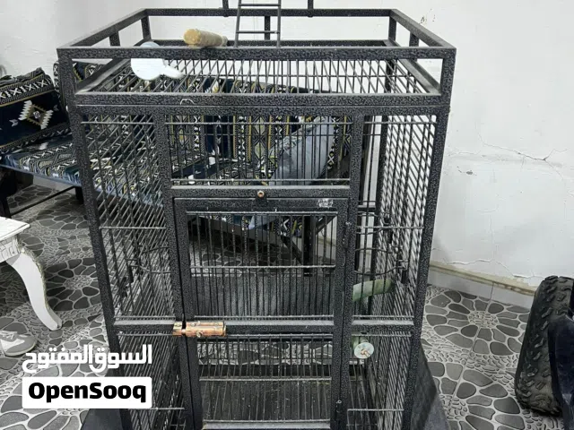 للبيع قفص كاسكو الحجم الكبير