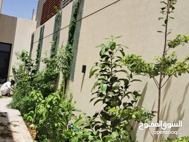 تنسيق حدائق وزراعة طبيعي في شجرات كبيرة شتلات ظهور ورد التيل طبيعي وصيانة شهريه تركيب وتوصيل