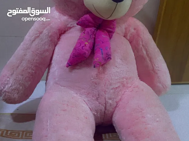 دب حجم كبير