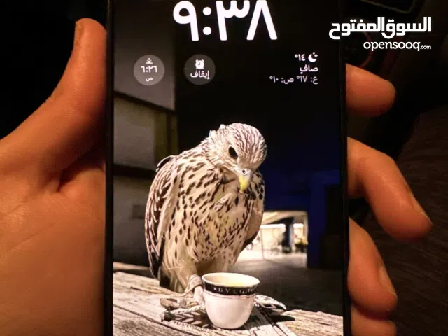 Apple iPhone 15 Pro Max 256 GB in Northern Governorate