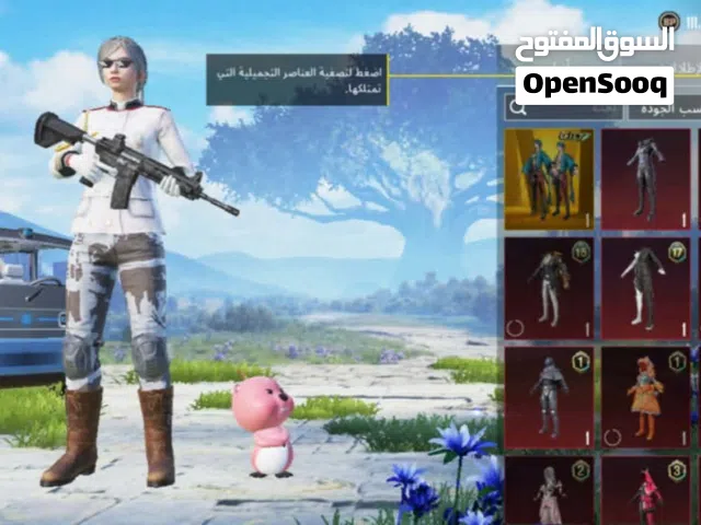 Pubg Accounts and Characters for Sale in Sabha