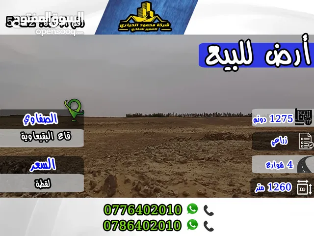 Farm Land for Sale in Mafraq Safawi