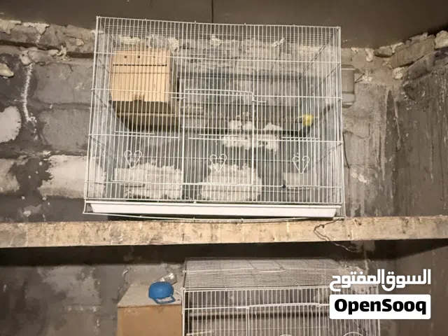 اقفاص استعمال جدا قليل مال جميع الطيور يرهم قفاص جددا جدا انضاف ومرتبات وحلوات