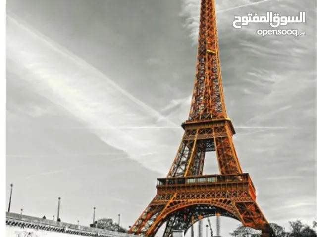 استاذ فرنسي لجميع المراحل
