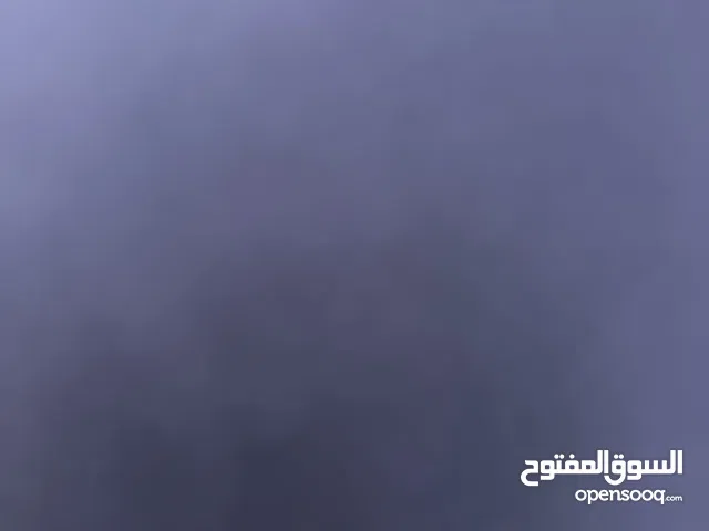 عجله رضيع المانيه