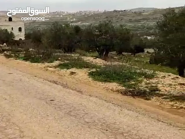 ارض للبيع في منطقه الطيره بطن الهو للبيناء اسكان مساحه دونم