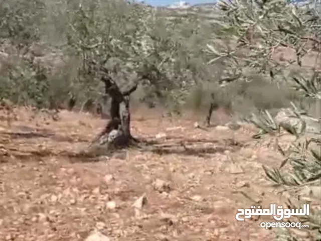 ارض للببع في منطقه  كفرنعمه مساحه دونم  و 600متر للبيناء بركسات