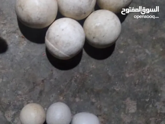 احجار كريمة